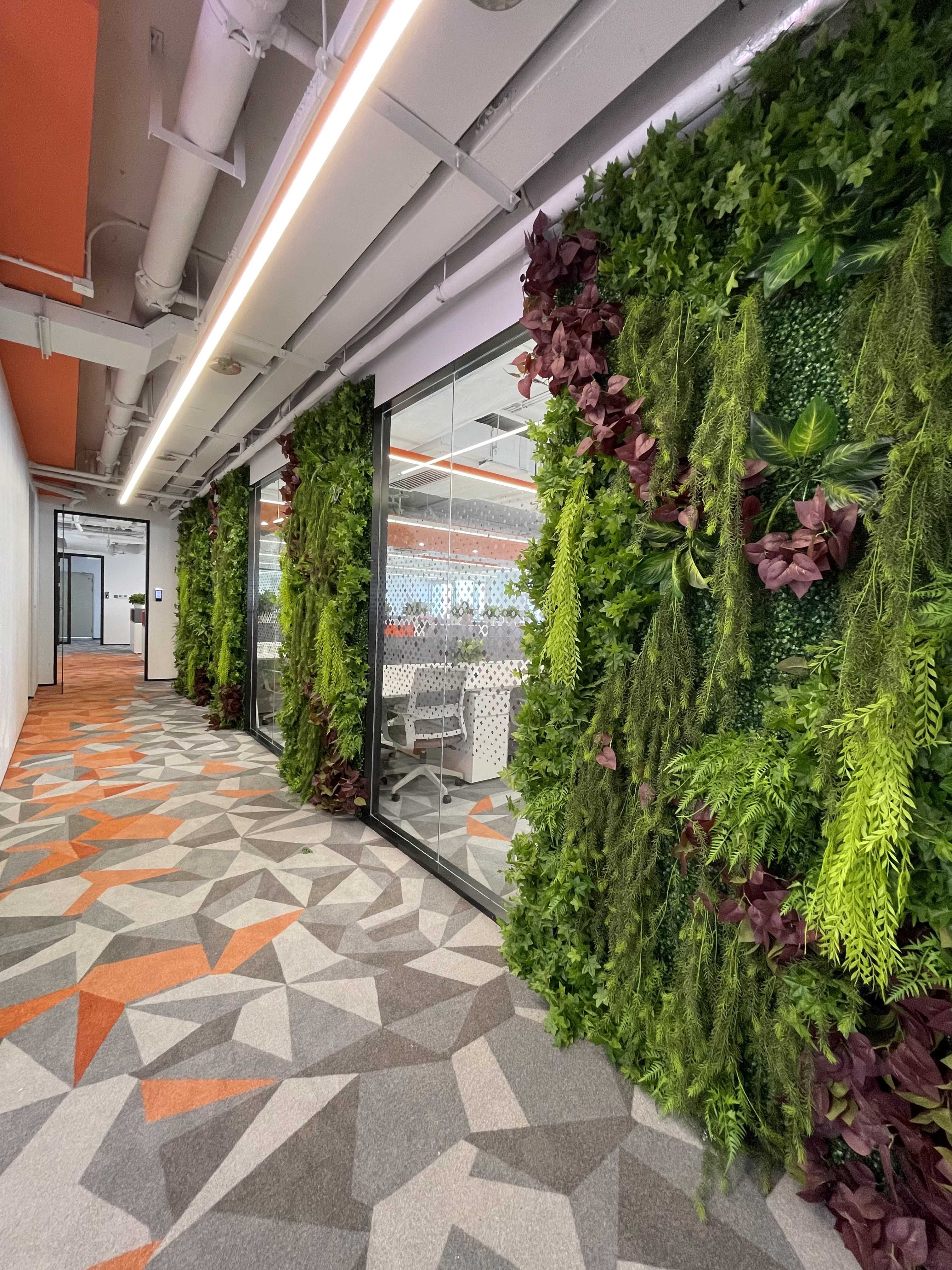 1654911902909178.jpg WechatIMG356.jpg